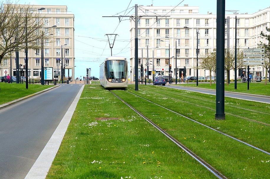 Eine Straßenbahn fährt über ein breites, doppeltes Rasengleis, das von Straßen und Bürgersteigen umgeben ist.